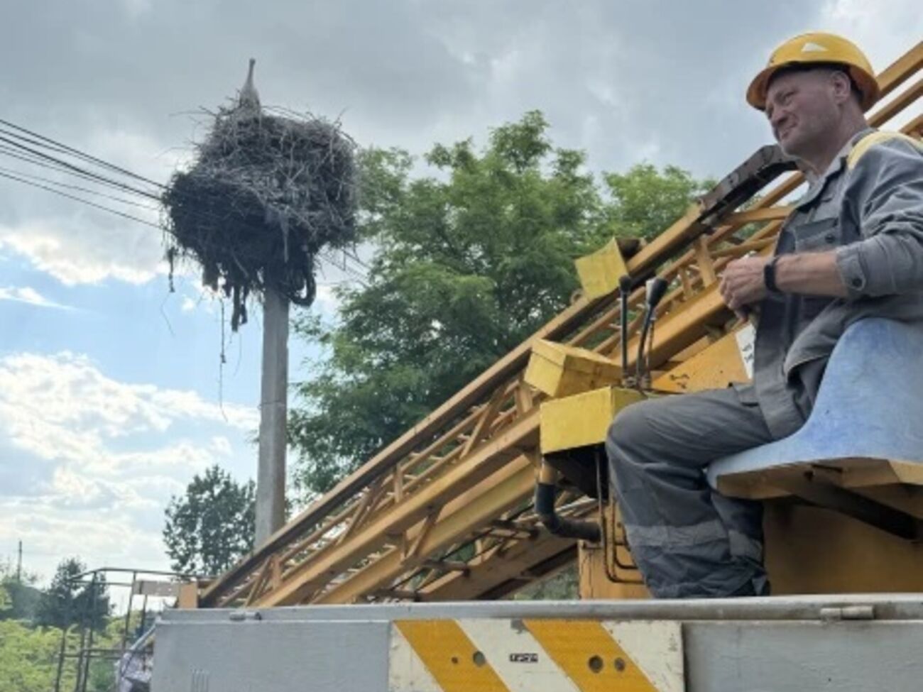 ДТЕК запустив онлайн-мапу міграції білих лелек
