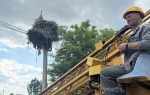 ДТЕК запустив онлайн-мапу міграції білих лелек