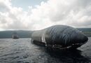 "Невероятно". Возле острова Рождества заметили ракету SpaceX