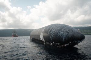 "Неймовірно". Біля острова Різдва помітили ракету SpaceX