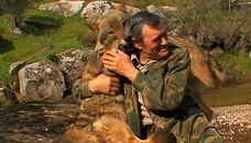 "Хлопчик-вовк" з Іспанії помер у 80. Історія чоловіка, який 12 років прожив серед диких тварин