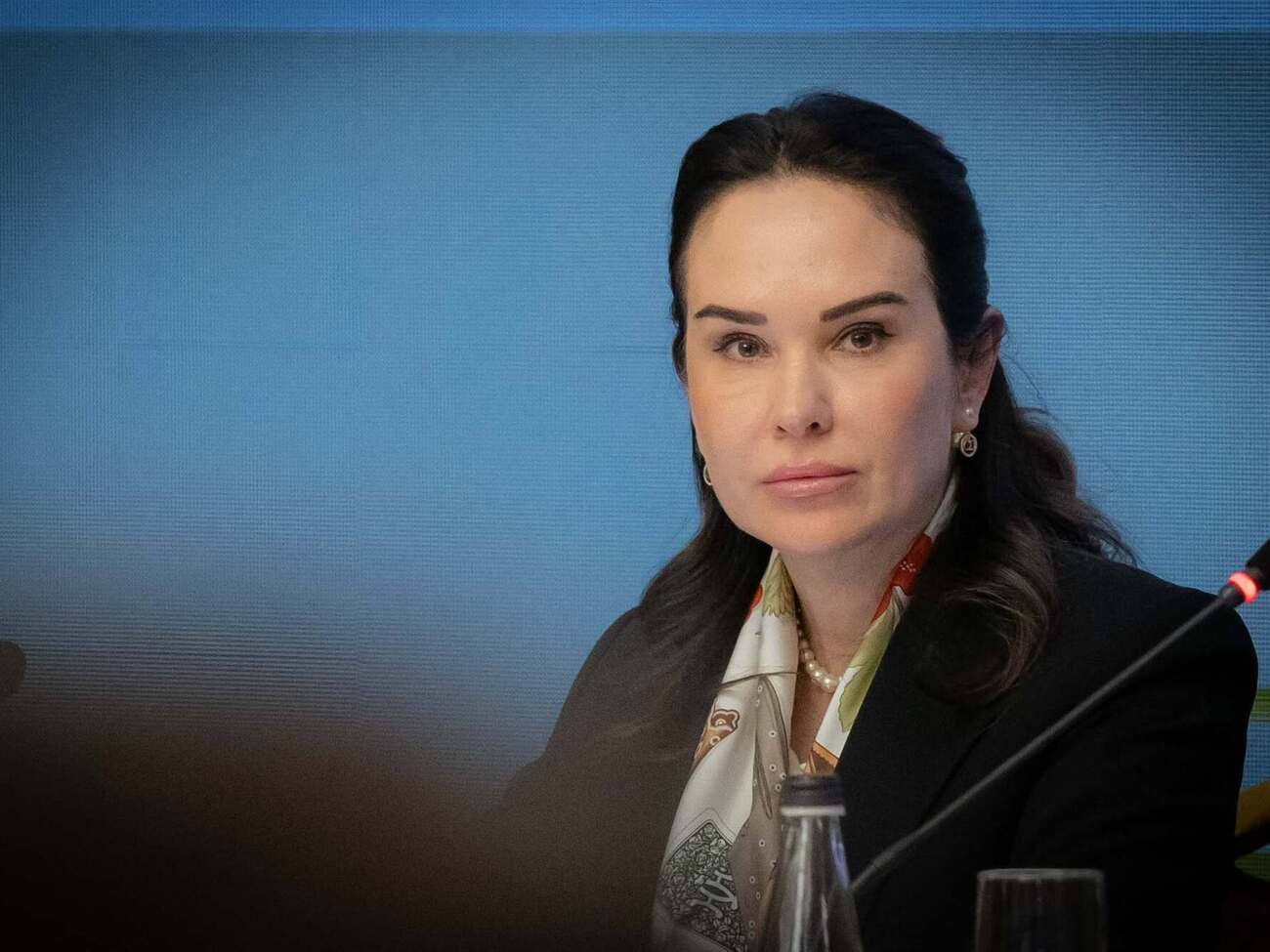 "Було достатньо деталей для того, щоб її звільнити". Зеленський прокоментував справу проти Мудрої