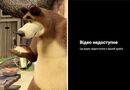 YouTube заблокировал на территории Украины три канала мультсериала "Маша и Медведь"