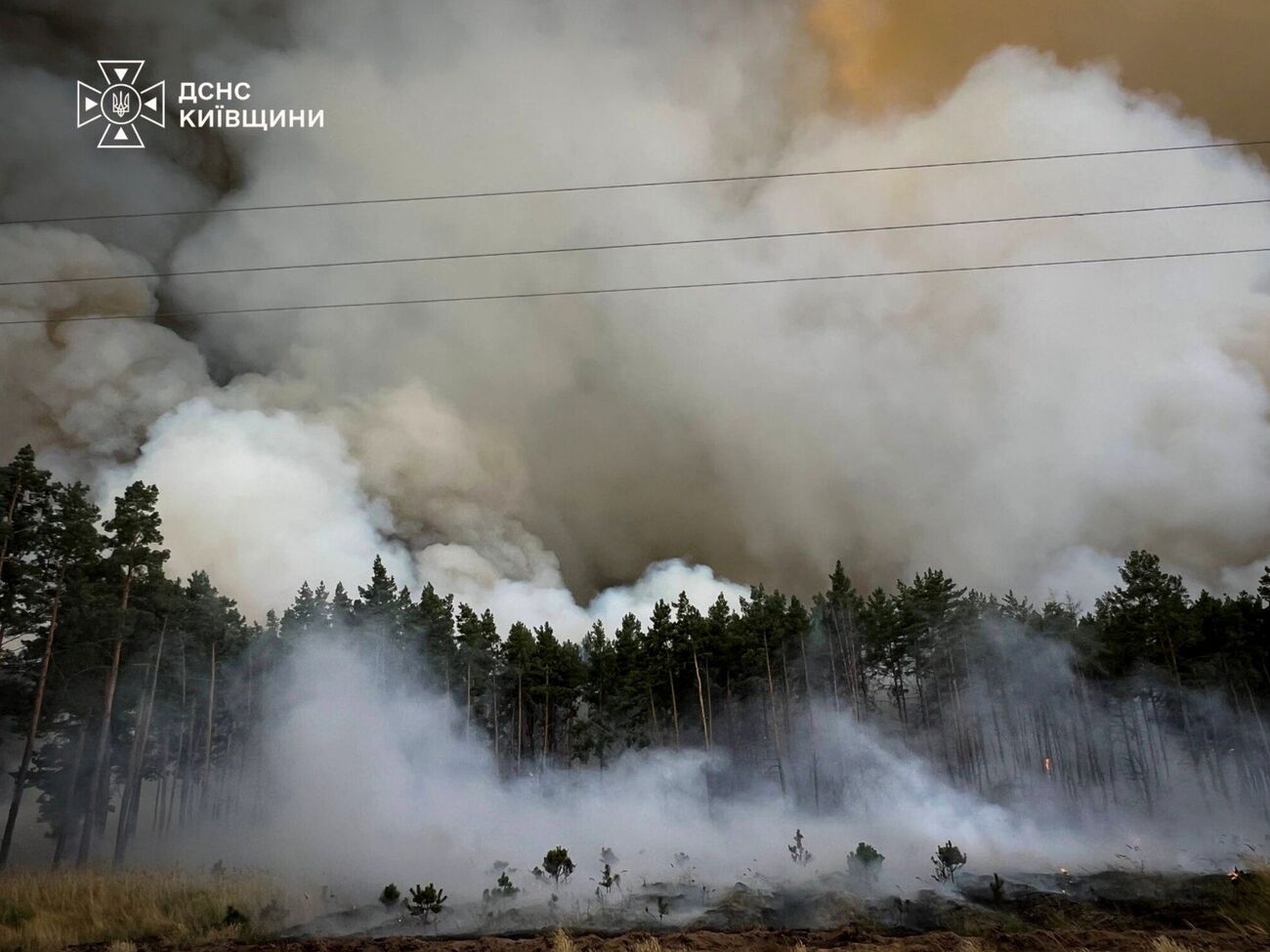 Фронт – на кілька кілометрів. Поблизу Києва спалахнула масштабна лісова пожежа. Фоторепортаж