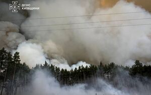 Фронт – на несколько километров. Вблизи Киева вспыхнул масштабный лесной пожар. Фоторепортаж