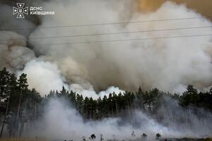 Фронт – на несколько километров. Вблизи Киева вспыхнул масштабный лесной пожар. Фоторепортаж