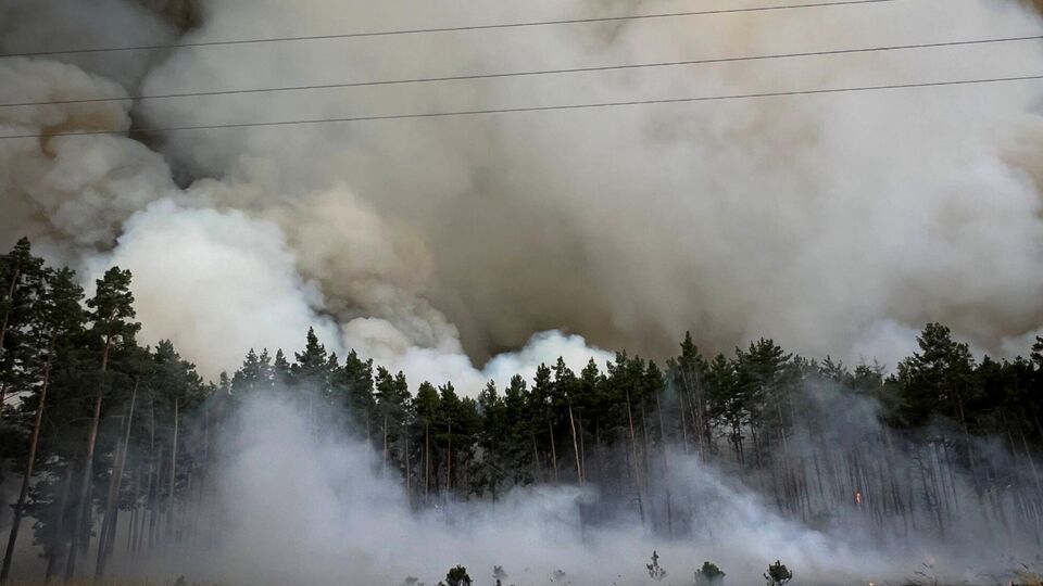Фронт – на кілька кілометрів. Поблизу Києва спалахнула масштабна лісова пожежа. Фоторепортаж