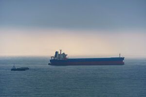 Україні потрібно оперативно домовитися з Румунією про збільшення пропускної спроможності Сулінського каналу – експертка