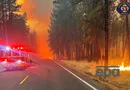 "Найгірше природне лихо" в історії. Пожежі у Вашингтоні знищили сотні будівель, евакуйовано 60 тис. людей