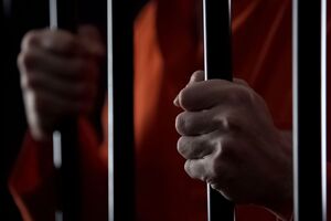 Апеляційний суд Гельсінкі пом'якшив вирок російському неонацисту Петровському, який убивав українців