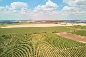 Об'єднання аграріїв закликали прем'єра Корецького відтермінувати підвищення тарифів "Укрзалізниці"