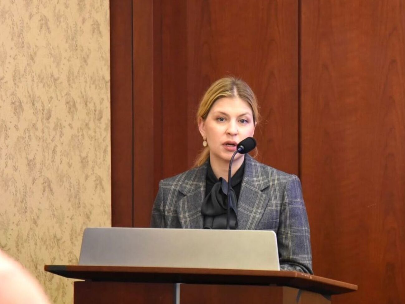 "Буря у склянці". Стефанішина прокоментувала свою нову підозру
