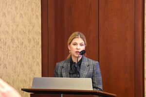 "Буря у склянці". Стефанішина прокоментувала свою нову підозру
