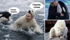 "Ведмеді на боці печенігів" і партія "Едим Россию". Як в інтернеті висміяли путінських "косаток-убивць"