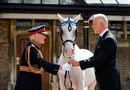 Короля Чарльза III попросили повернути подарованих елітних коней. Яка країна вляпалася в міжнародний скандал