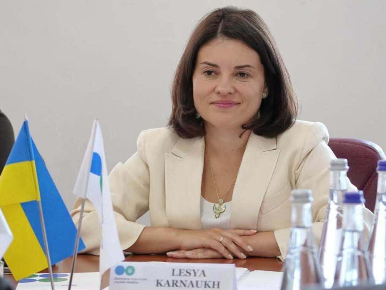 Кабмін звільнив в.о. голови податкової служби України