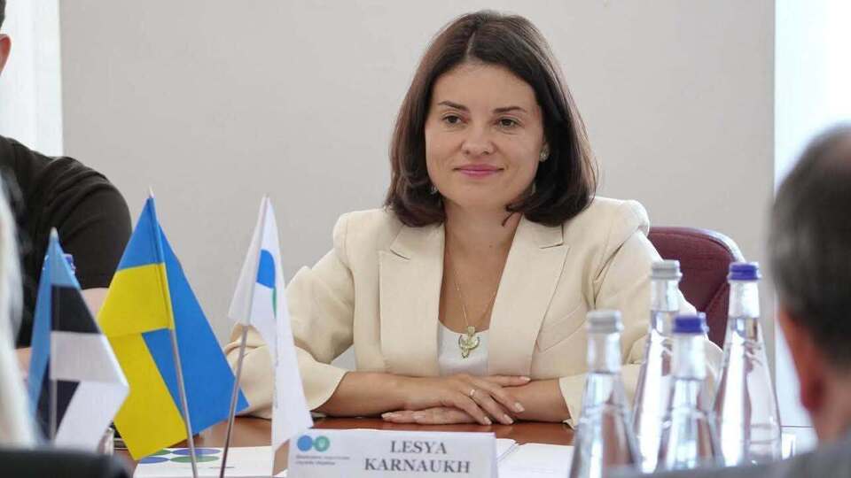Кабмін звільнив в.о. голови податкової служби України