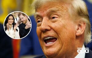 "Я б не прийняв їх назад". Трамп потішився, що принц Гаррі і його дружини Меган покинули США