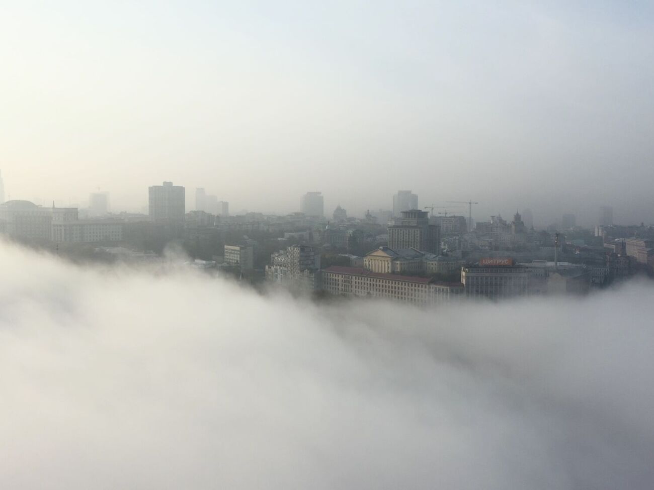 Киев затянул густой туман. В ГСЧС назвали причину и рассказали, как действовать